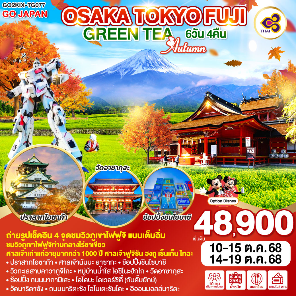 ทัวร์ญี่ปุ่น OSAKA TOKYO FUJI GREEN TEA AUTUMN 6วัน 4คืน  (TG)