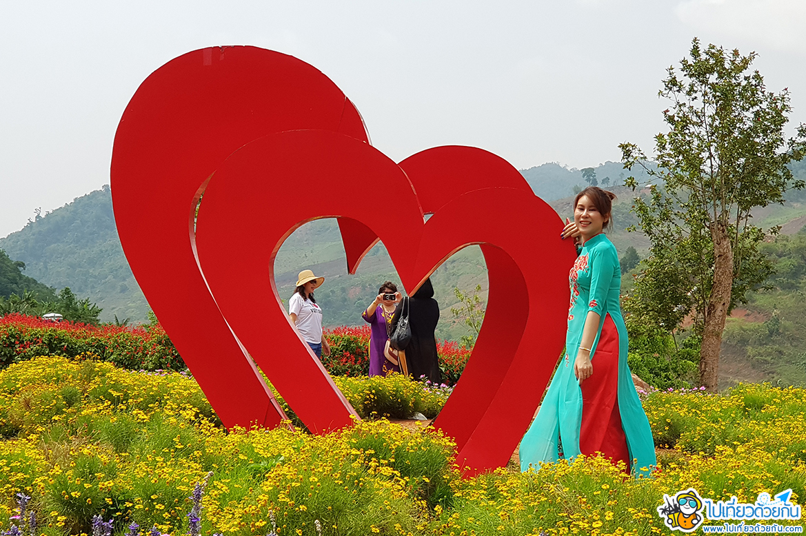 เที่ยวเวียดนามเหนือ สวนดอกไม้แฮปปี้แลนด์ หมกโจว สวนดอกไม้ที่อยู่ท่ามกลางภูเขาอันเขียวขจี