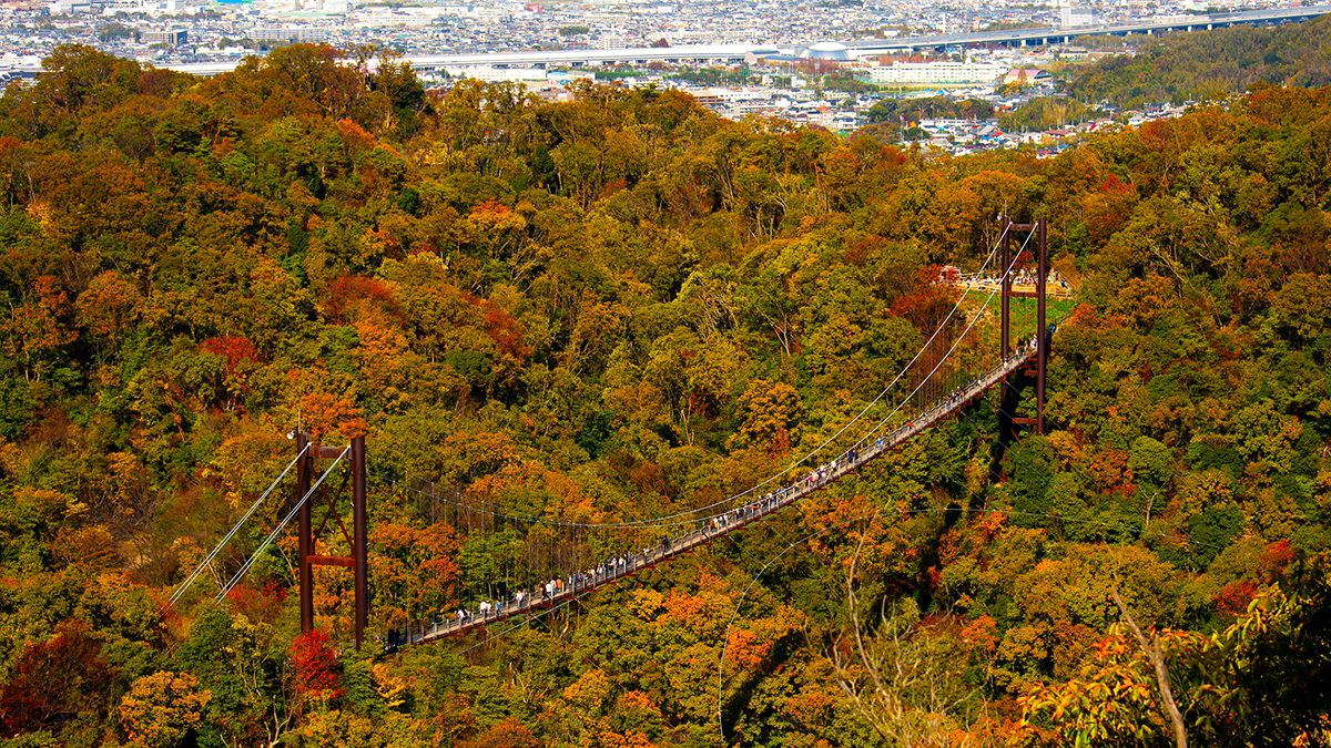 สะพานแขวนโฮชิโนะบุรังโกะ (Hoshi no Buranko)