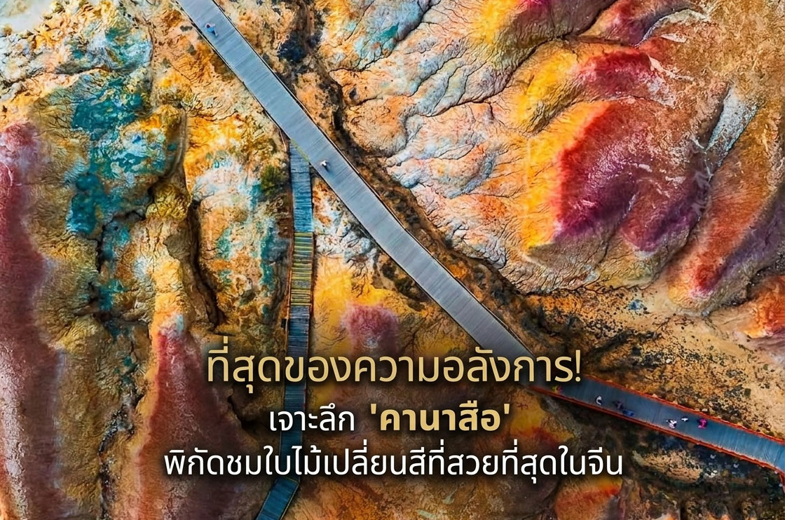 ที่สุดของความอลังการ! เจาะลึก 'คานาสือ' พิกัดชมใบไม้เปลี่ยนสีที่สวยที่สุดในจีน