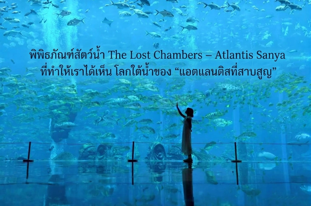 พิพิธภัณฑ์สัตว์น้ำ The Lost Chambers – Atlantis Sanya ที่ทำให้เราได้เห็น โลกใต้น้ำของ “แอตแลนติสที่ส