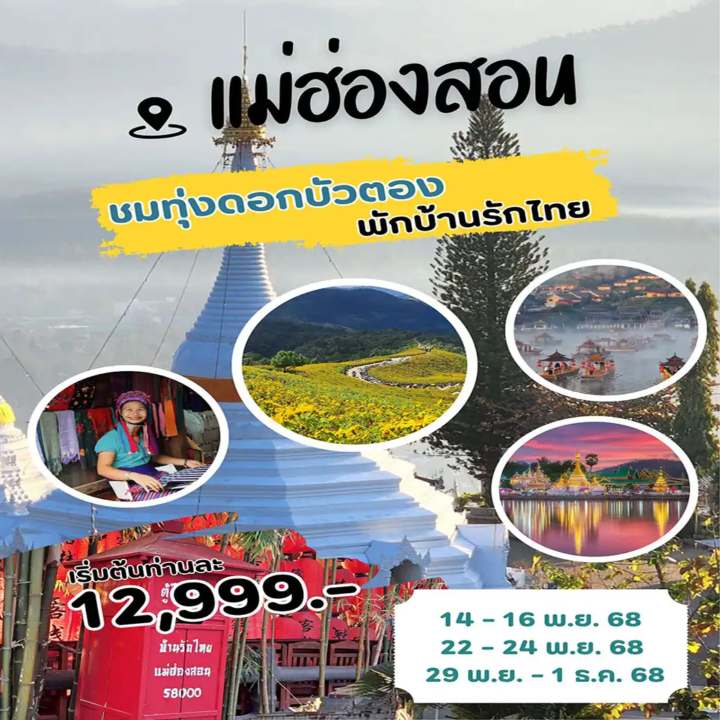 ทัวร์แม่ฮ่องสอน ชมทุ่งดอกบัวตอง พักบ้านไทย 3วัน 2คืน (FD,SL,DD)