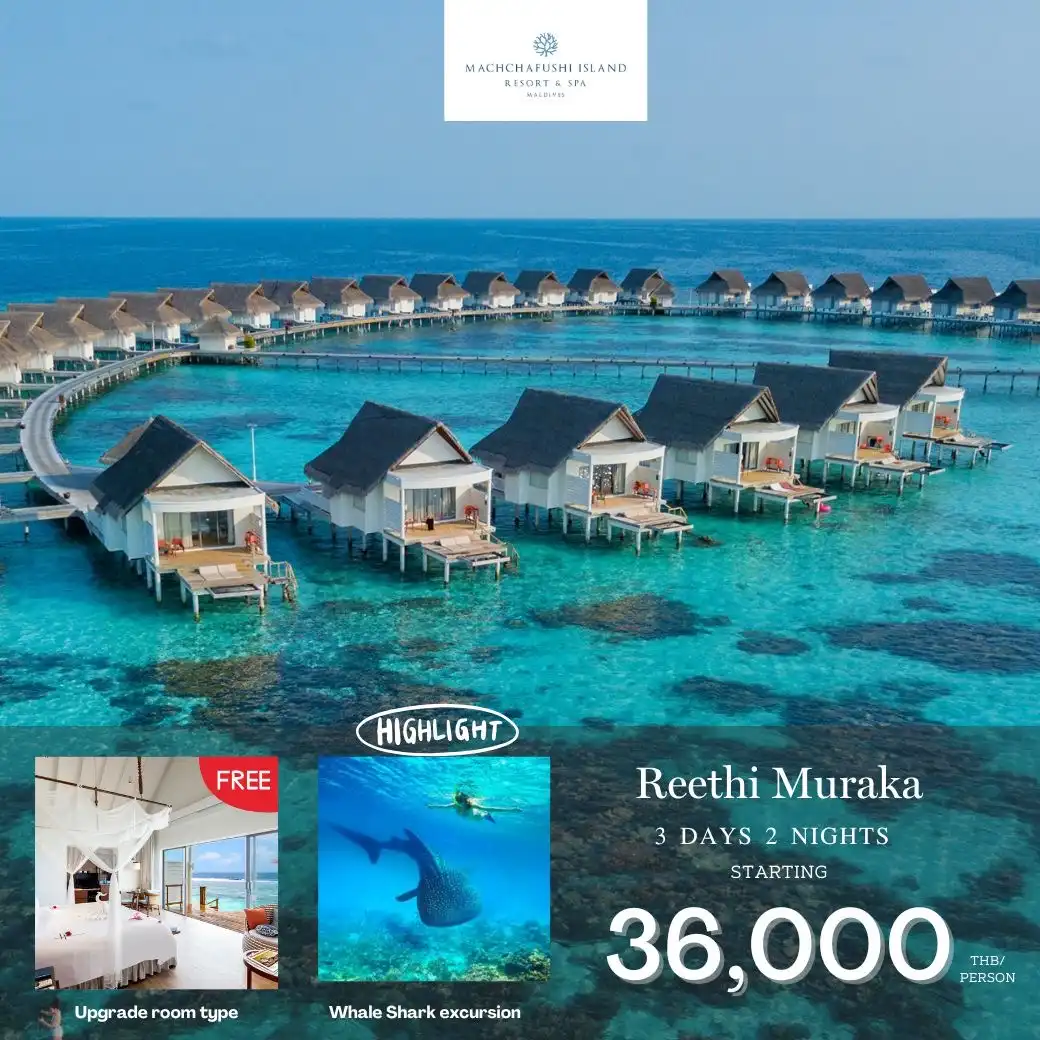 แพ็กเกจ ทัวร์มัลดีฟส์ MACHCHAFUSHI MALDIVES  3วัน 2คืน