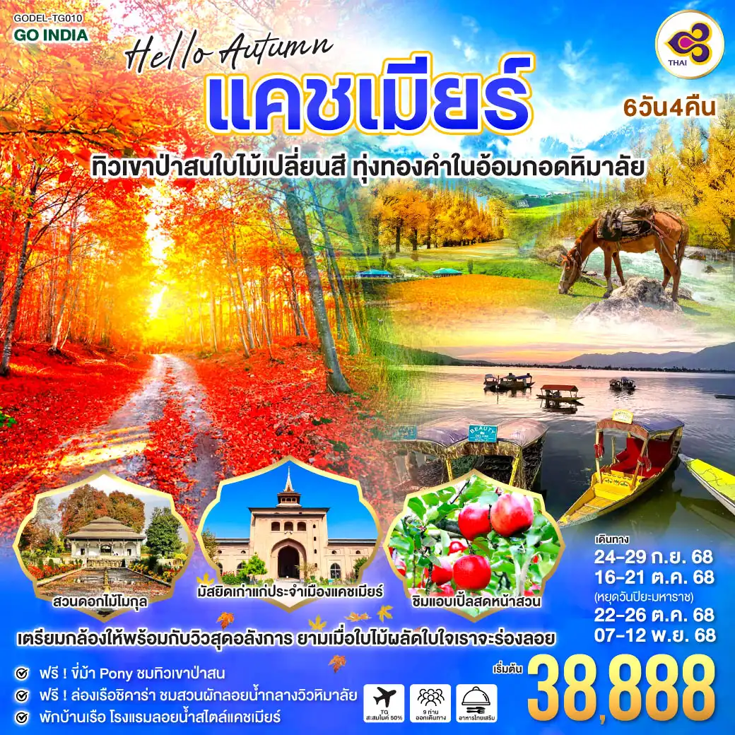 ทัวร์อินเดีย HELLO, AUTUMN KASHMIR ทิวเขาป่าสนใบไม้เปลี่ยนสี ทุ่งทองคำในอ้อมกอดหิมาลัย 6วัน 4คืน  (TG)