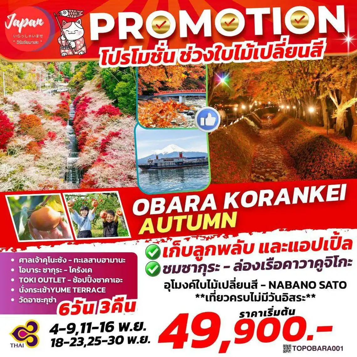 ทัวร์ญี่ปุ่น TOKYO NAGOYA 6วัน 3คืน (TG)