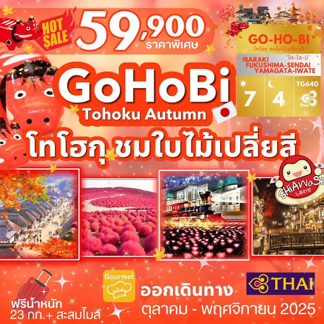 ทัวร์ญี่ปุ่น TOHOKU AUTUMN ILLUMINATION FAMILY TOUR  7วัน 4คืน (TG)