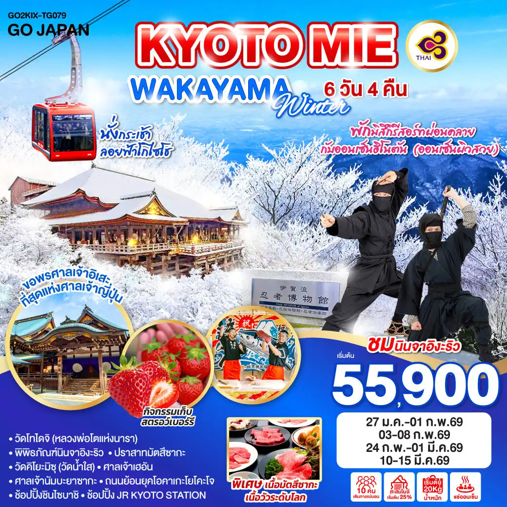 ทัวร์ญี่ปุ่น KYOTO MIE WAKAYAMA WINTER 6วัน 4คืน (TG)
