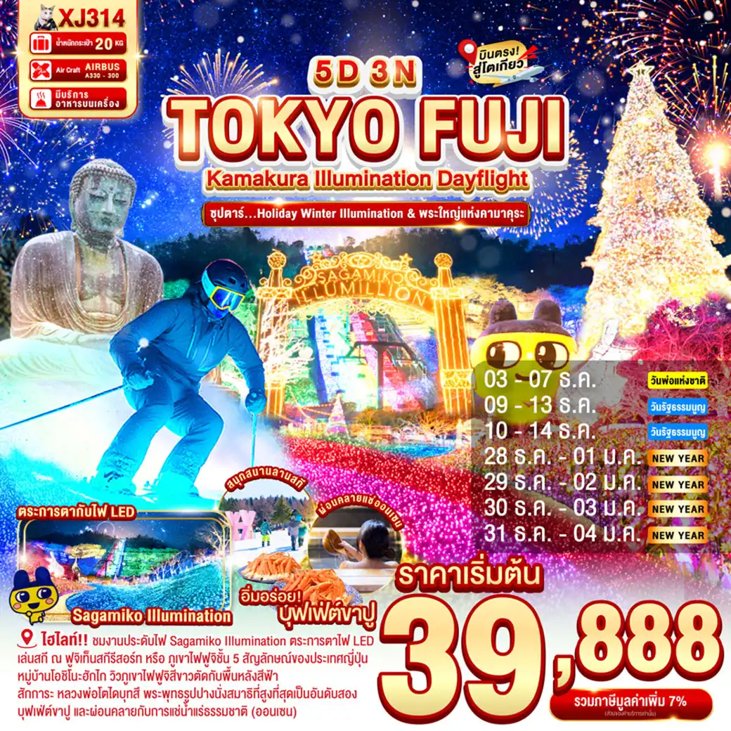 ทัวร์ญี่ปุ่น TOKYO KAMAKURA FUJI ILLUMINATION  ซุปตาร์..Holiday Winter Illumination & พระใหญ่แห่งคามาคุระ 5วัน 3คืน (XJ)