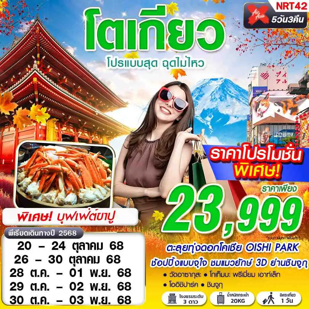 ทัวร์ญี่ปุ่น TOKYO โปรแบบสุด ฉุดไม่ไหว (บินดึกกลับเช้า ฟรีเดย์) 5วัน 3คืน (XJ)