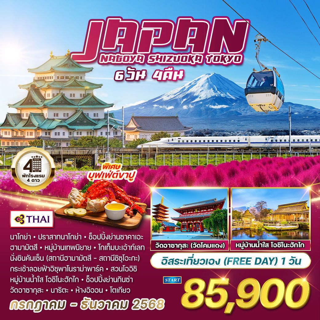ทัวร์ญี่ปุ่น  นาโกย่า - ชิซูโอกะ - โตเกียว  6วัน 4คืน  (TG)