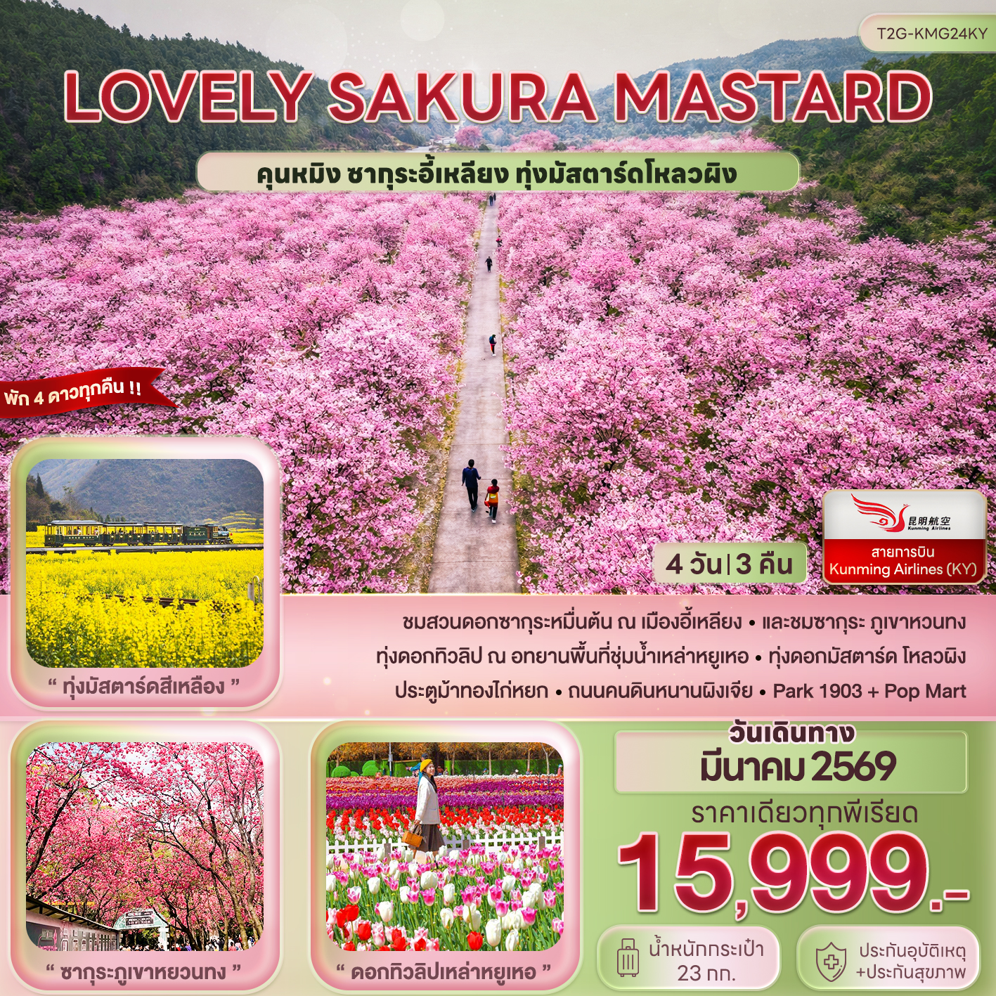 ทัวร์จีน Lovely Sakura Mustard...คุนหมิง ซากุระอี้เหลียง ทุ่งมัสตาร์ด 4วัน 3คืน (KY)