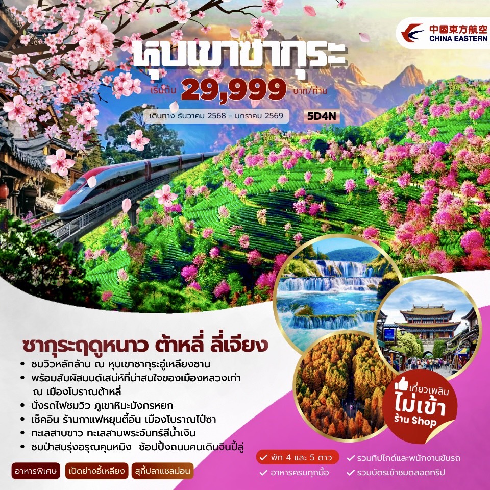 ซากุระฤดูหนาว ต้าหลี่ ลี่เจียง 5วัน 4คืน (MU)